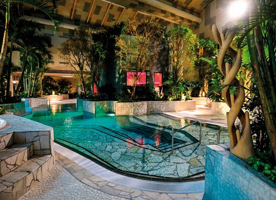 Center Parcs Park Allgäu - Deep Nature Spa