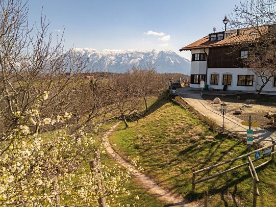Neubichler Alm