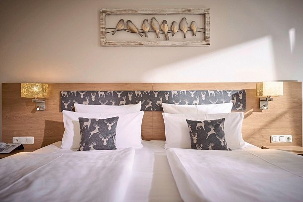 Thermenhotel Ströbinger Hof - Wohnbeispiel Doppelzimmer Schloßsee (Zimmercodierung DF1)