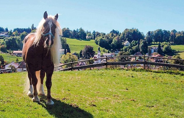 Gästehaus Kohlerhof