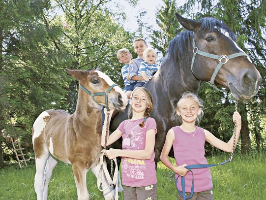Gästehaus Kohlerhof