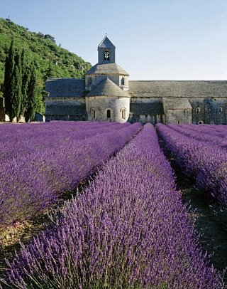 Die schönsten Seiten Südfrankreichs - Provence & Côte d´Azur - Abtei von Sénanque