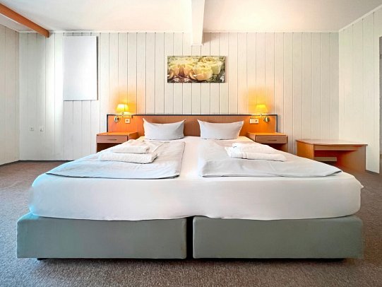 Wagners Hotel & Restaurant im Frankenwald - Wohnbeispiel Doppelzimmer Standard (Zimmercodierung DG1)