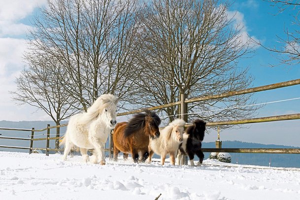 ULRICHSHOF Nature • Family • Design