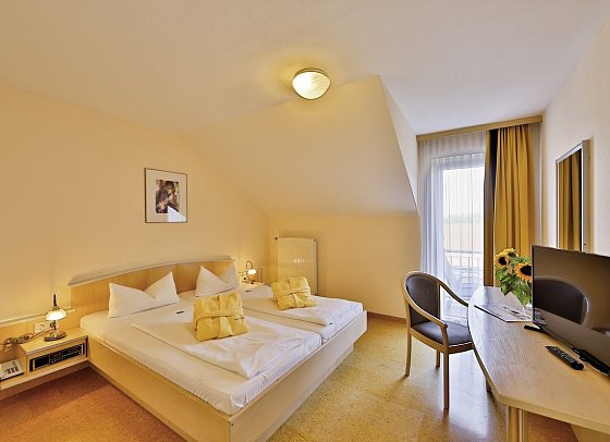 Sonnenhotel Bayerischer Hof - Wohnbeispiel Standard Doppelzimmer (Zimmercodierungen DG1 & EC2)