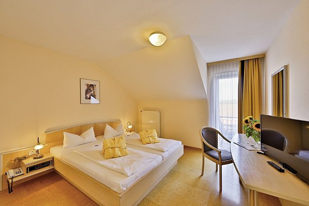 Sonnenhotel Bayerischer Hof - Wohnbeispiel Standard Doppelzimmer (Zimmercodierungen DG1 & EC2)