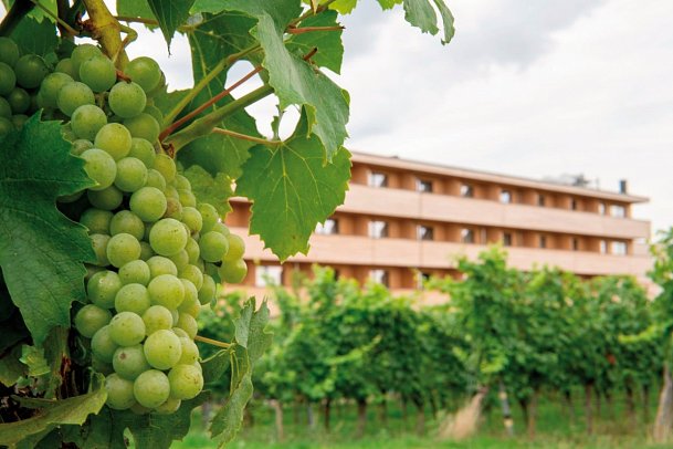 Sonnenhotel Weingut Römmert