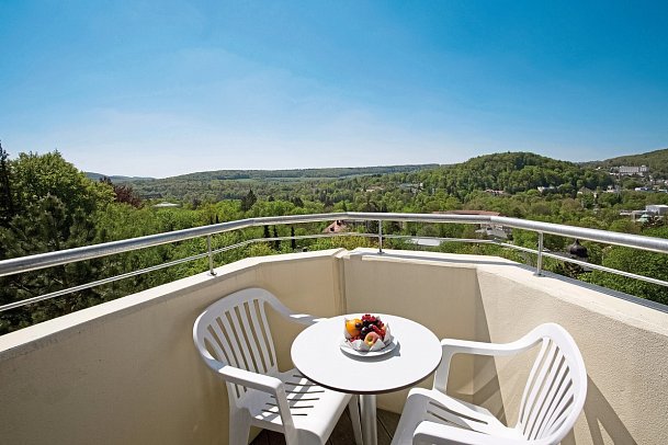 Parkhotel CUP VITALIS - Beispiel Ausblick (Zimmercodierungen DG1 & DF1)