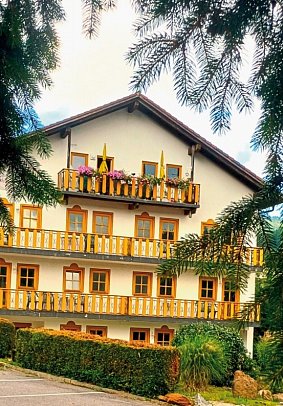 Das Arber-Hotel am Rothbach