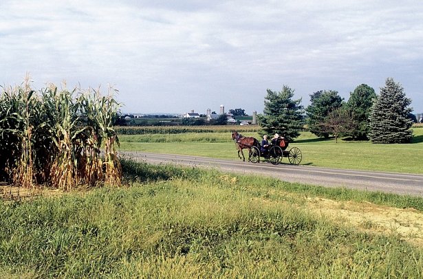 Bilderbogen des Ostens - Amish Country