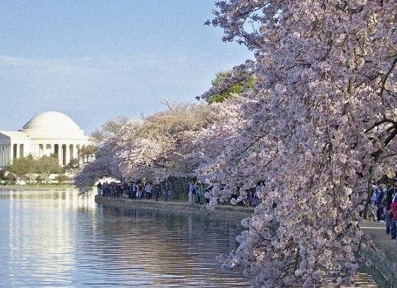 Bilderbogen des Ostens - Jefferson Memorial, Washington D.C.