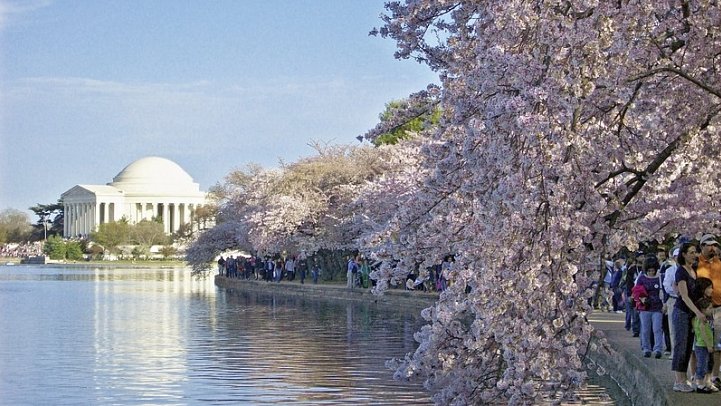 Bilderbogen des Ostens - Jefferson Memorial, Washington D.C.