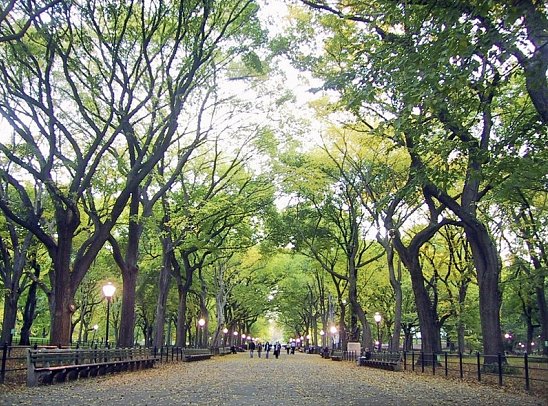 New York für Insider (5 Nächte) - Central Park