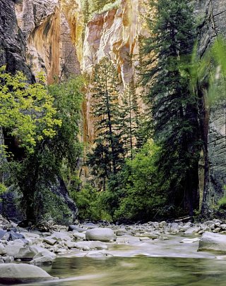 Vom Atlantik zum Pazifik - Deep Creek, Zion Nationalpark