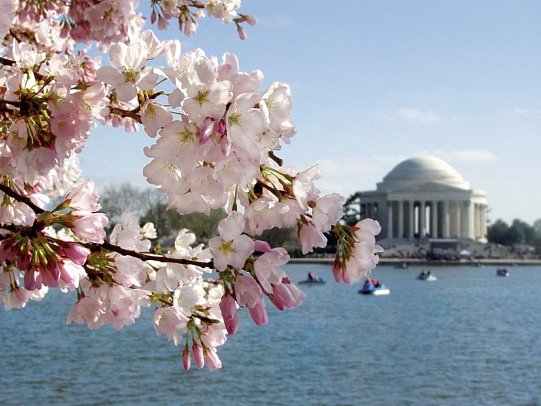 Sehenswürdigkeiten des Ostens - Washington D.C., Jefferson Memorial