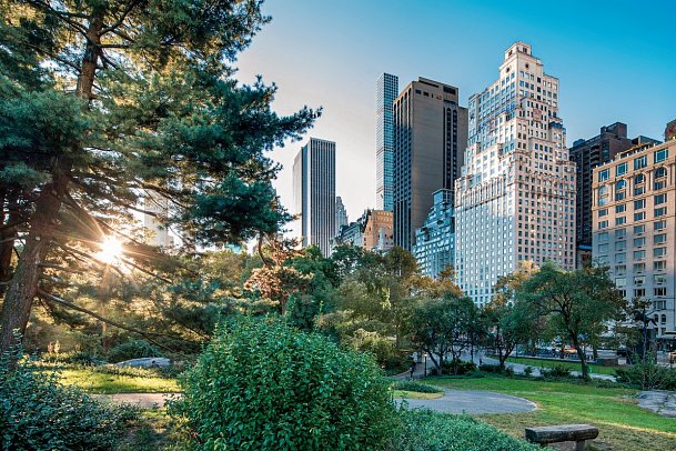 The Ritz-Carlton New York, Central Park