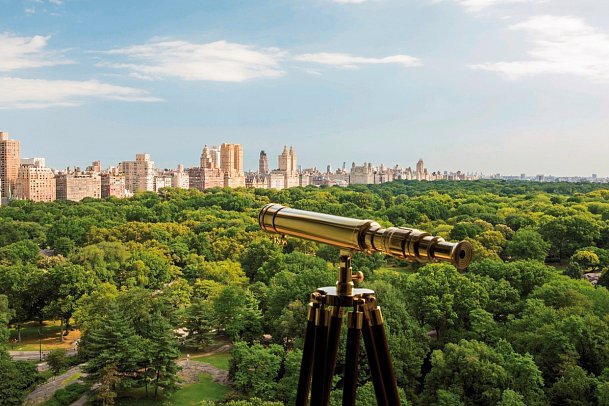 The Ritz-Carlton New York, Central Park