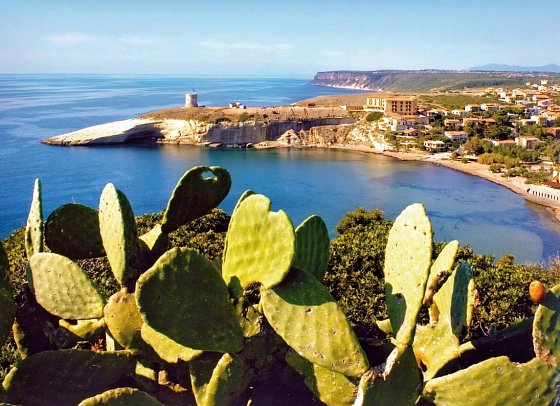 La Baja