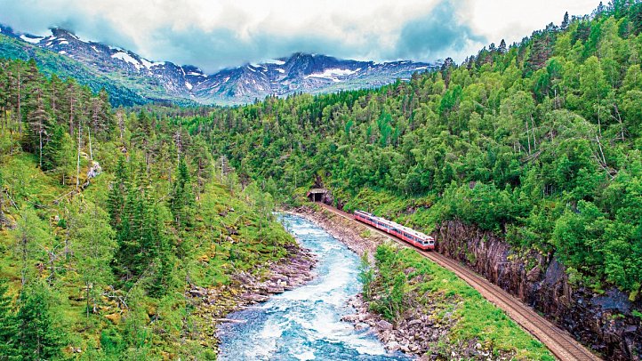 Erlebnis Bergenbahn im Sommer - Bergenbahn