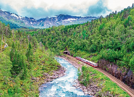 Erlebnis Bergenbahn im Sommer - Bergenbahn