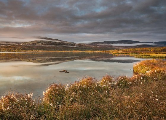 Fjordgiganten und Berglandschaften - Dovrefjell