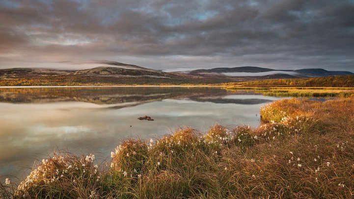 Fjordgiganten und Berglandschaften - Dovrefjell