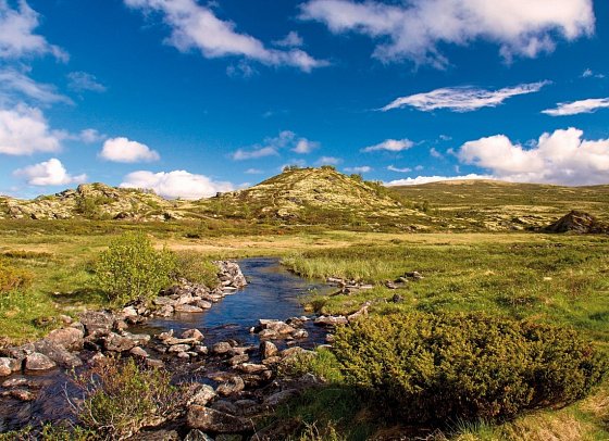 Fjordgiganten und Berglandschaften - Dovrefjell