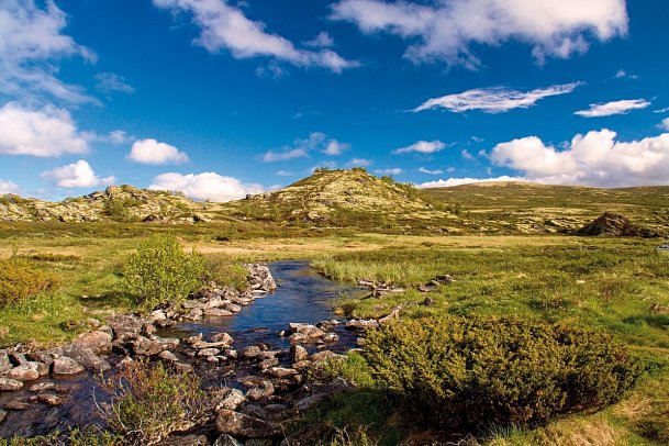 Fjordgiganten und Berglandschaften - Dovrefjell
