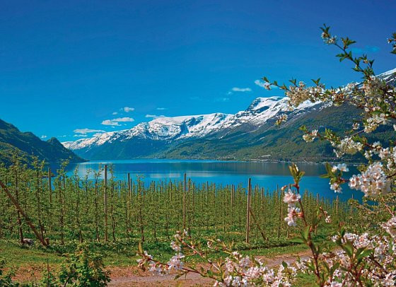 Traumhaftes Fjell-und Fjordnorwegen - Hardangerfjord