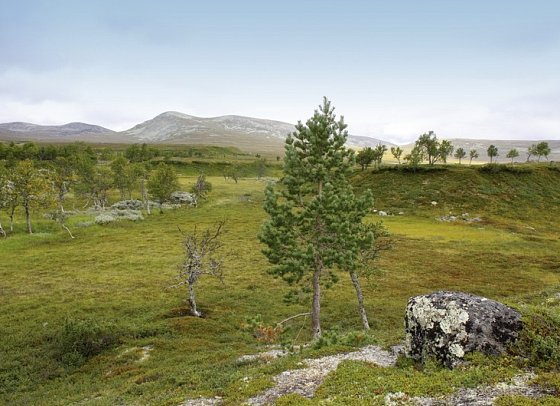Traumhaftes Fjell-und Fjordnorwegen - Femunden Nationalpark