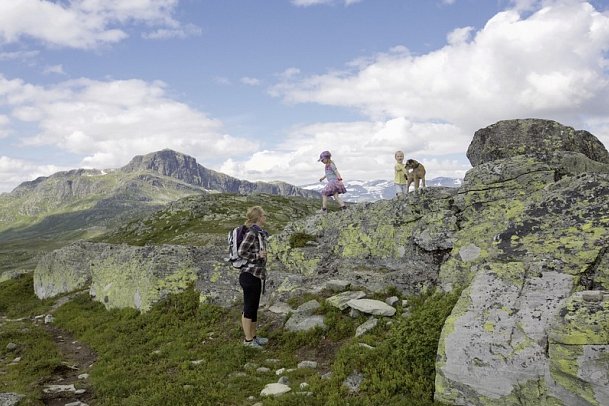 Fjorde, Gletscher und historische Hotels - Valdres, Bitihorn