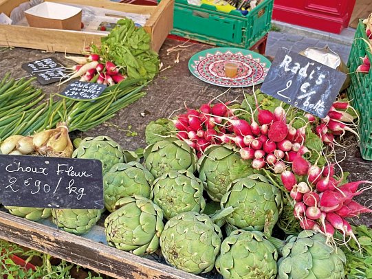Schlösser der Loire ab Blois