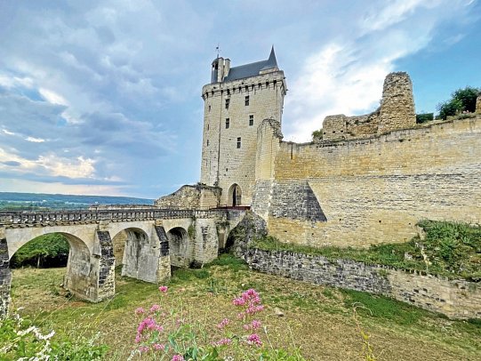 Schlösser der Loire ab Blois - Chinon