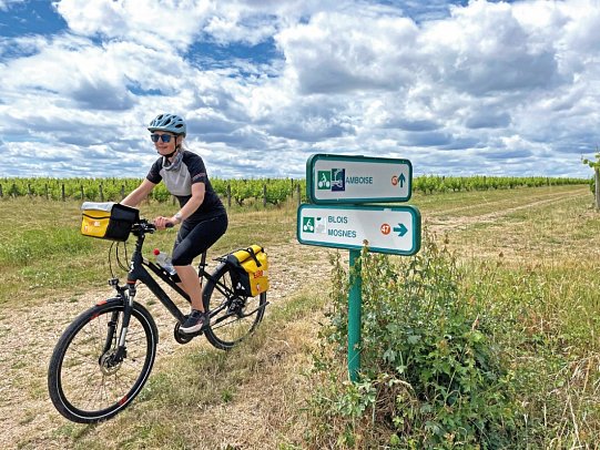 Schlösser der Loire ab Blois
