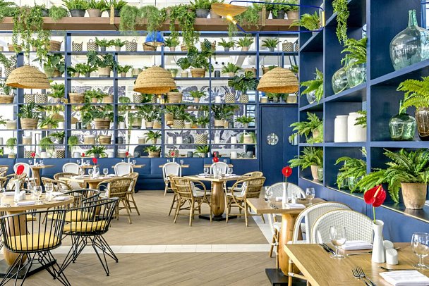 Ocean Riviera Paradise