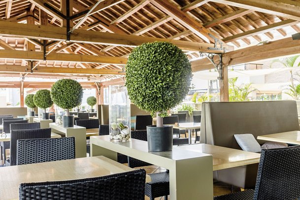 Zafiro Rey Don Jaime