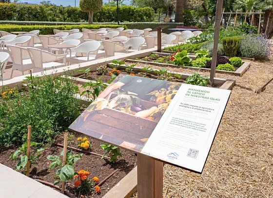 Garden Cala Millor