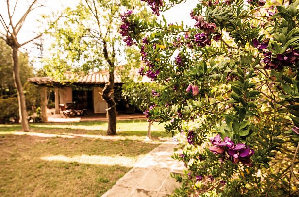 Rural Aumallia & Spa