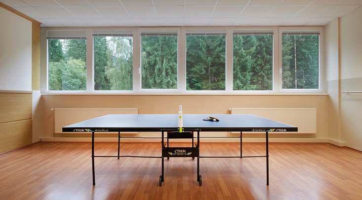 Wellness Hotel Svornost