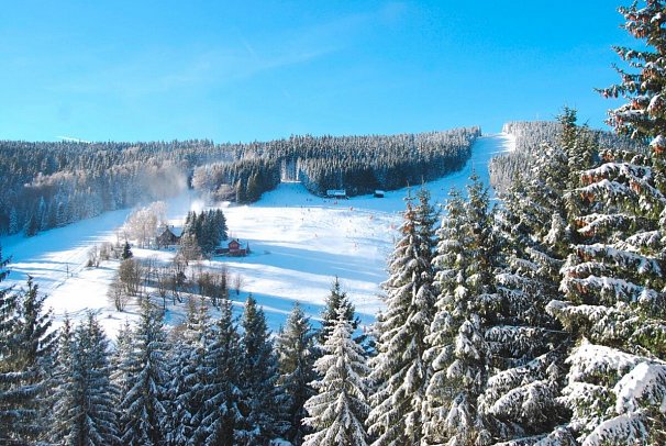 Pytloun Wellness Hotel Harrachov