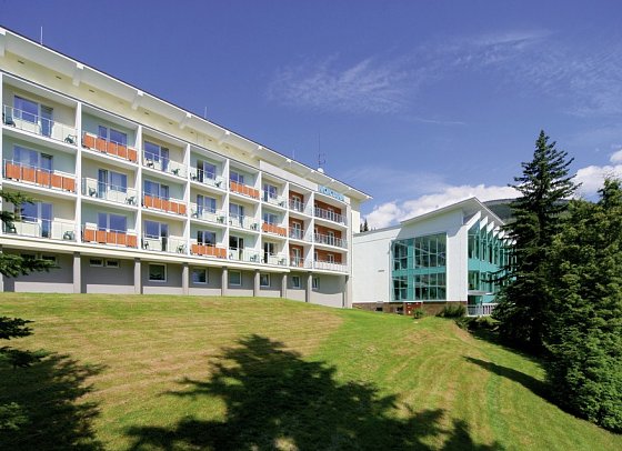 Interhotel Montana