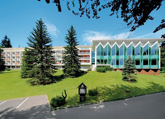 Interhotel Montana
