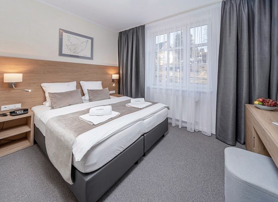 Snezka - Wohnbeispiel Doppelzimmer Superior (Zimmercodierung DS1)