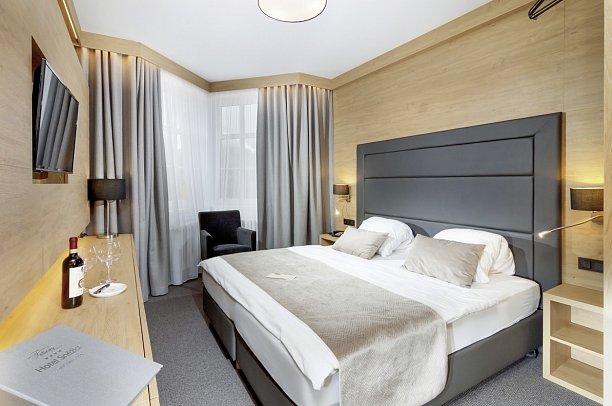 Snezka - Wohnbeispiel Doppelzimmer Superior (Zimmercodierung DS1)