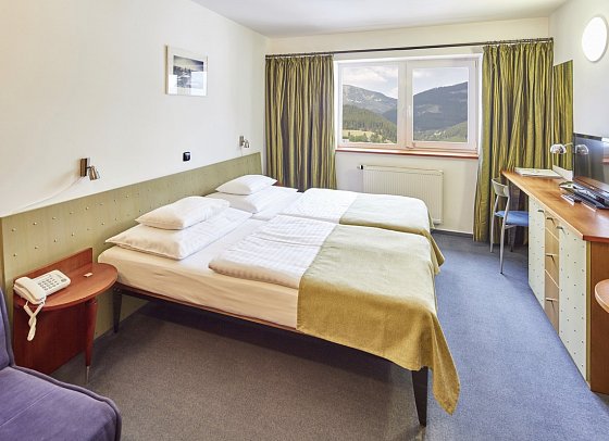 Horizont - Wohnbeispiel Doppelzimmer (Zimmercodierungen DE1, DB1, DB3 & DB4)