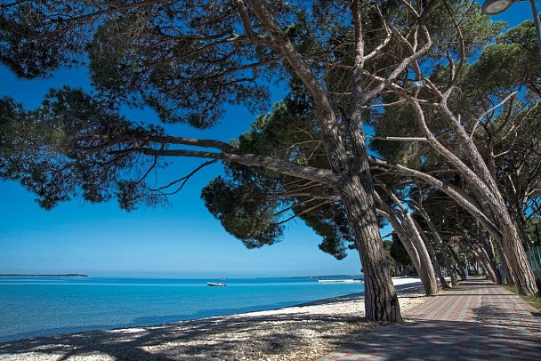 Bi Village Mobile Homes (by Happy Camp)