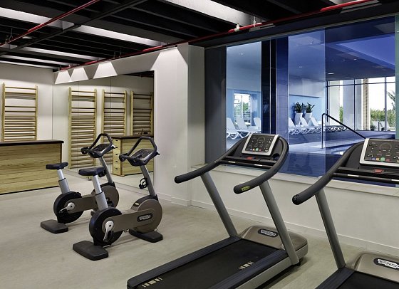 Park Plaza Belvedere - Fitnessraum