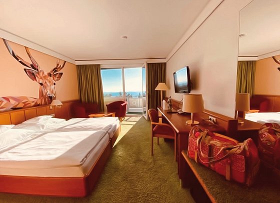 Wellness- & Nationalpark-Hotel Schliffkopf - Wohnbeispiel Doppelzimmer Roter Schliff (Zimmercodierung DB1)