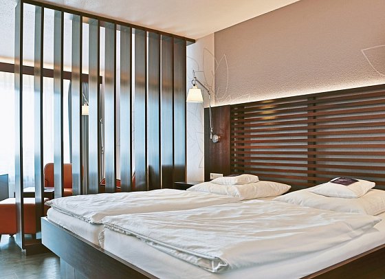 Wellness- & Nationalpark-Hotel Schliffkopf - Wohnbeispiel Doppelzimmer Steinmäuerle (Zimmercodierung DB2)