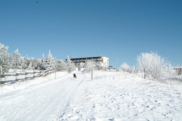 Wellness- & Nationalpark-Hotel Schliffkopf